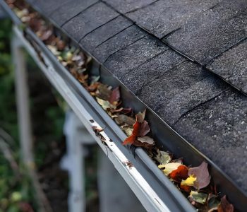 roof-with-few-leaves-that-have-fallen-from-ceiling_1190007-1999